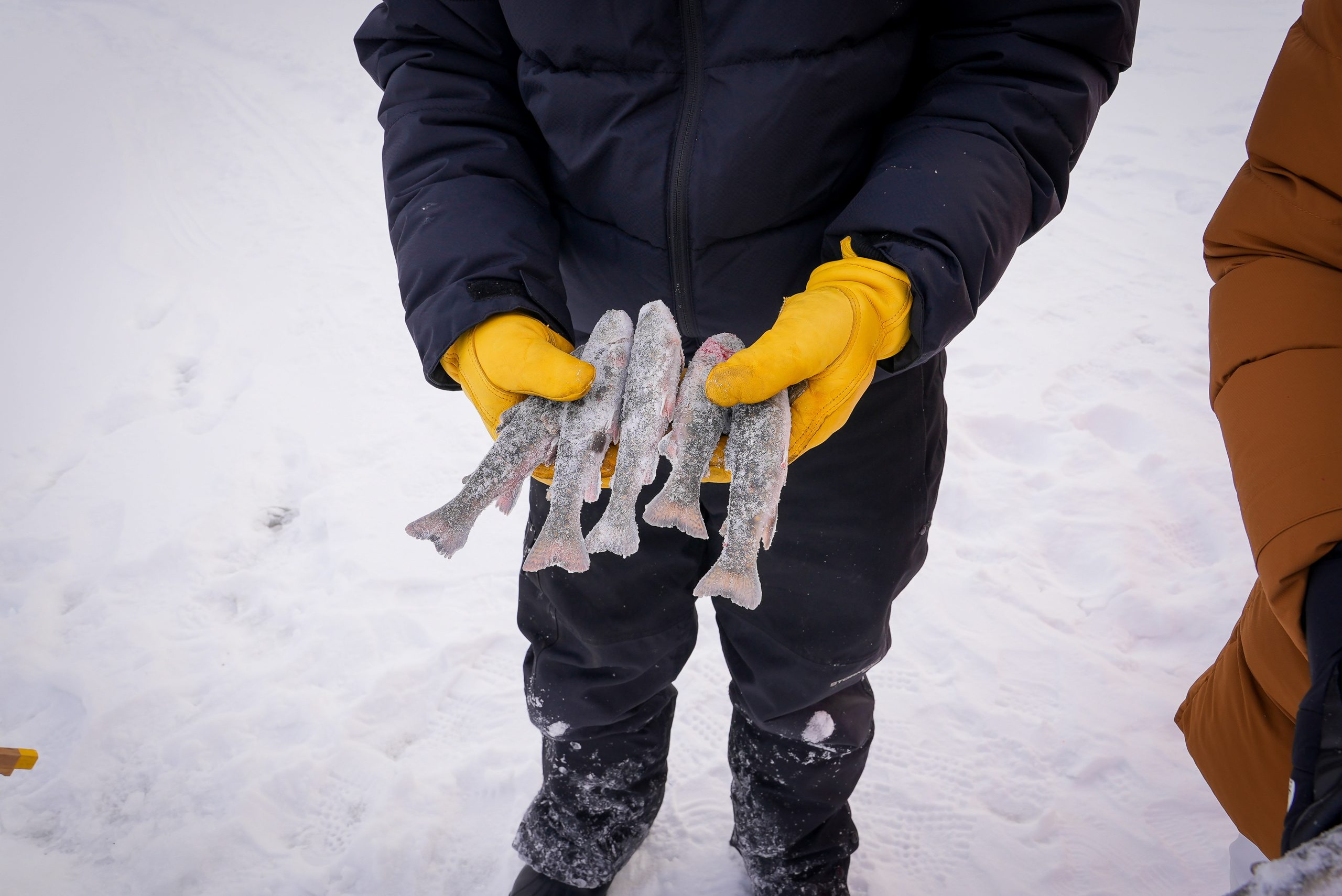 Photo de couverture - Pêche blanche 